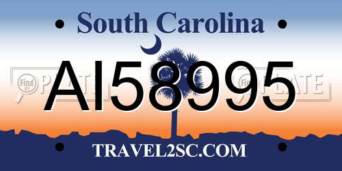 AI58995 South Carolina License Plate