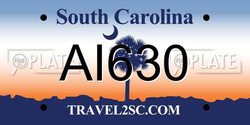 AI630 South Carolina License Plate