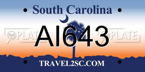 AI643 South Carolina License Plate