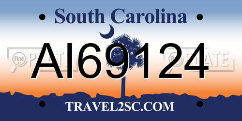 AI69124 South Carolina License Plate
