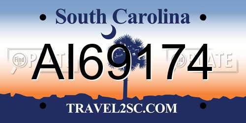 AI69174 South Carolina License Plate
