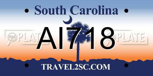 AI718 South Carolina License Plate