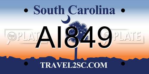 AI849 South Carolina License Plate