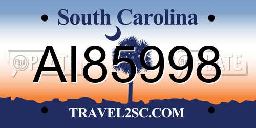 AI85998 South Carolina License Plate