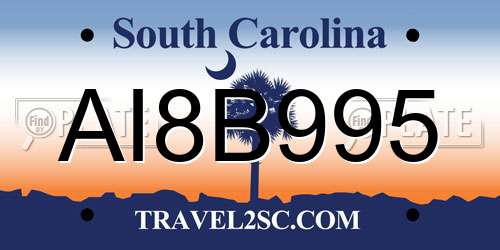 AI8B995 South Carolina License Plate