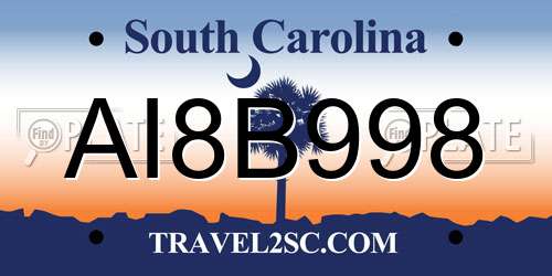 AI8B998 South Carolina License Plate