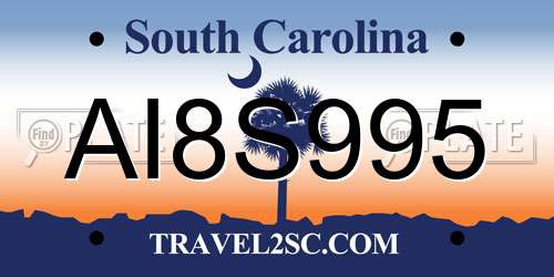 AI8S995 South Carolina License Plate