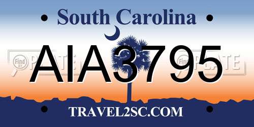 AIA3795 South Carolina License Plate