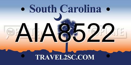AIA8522 South Carolina License Plate