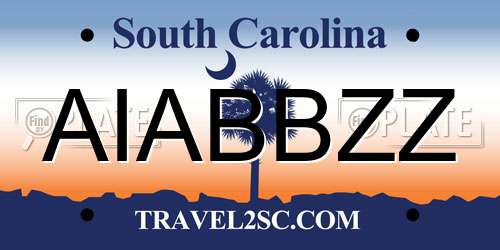 AIABBZZ South Carolina License Plate