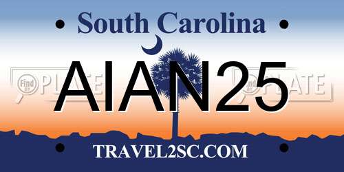AIAN25 South Carolina License Plate
