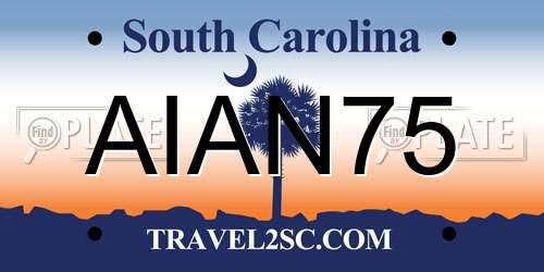 AIAN75 South Carolina License Plate