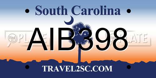 AIB398 South Carolina License Plate