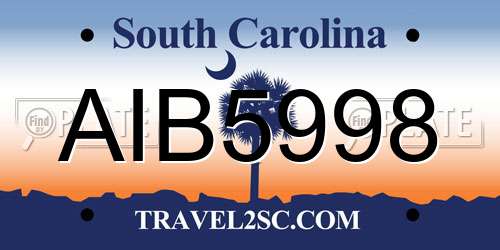 AIB5998 South Carolina License Plate