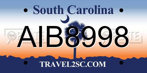 AIB8998 South Carolina License Plate
