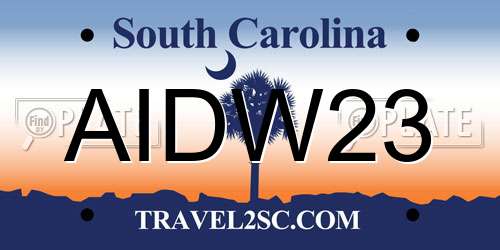 AIDW23 South Carolina License Plate