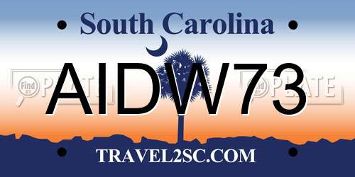 AIDW73 South Carolina License Plate