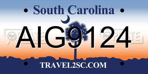 AIG9124 South Carolina License Plate