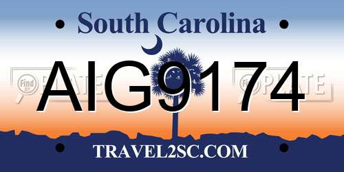 AIG9174 South Carolina License Plate