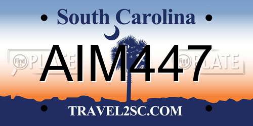 AIM447 South Carolina License Plate