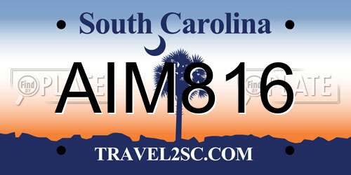 AIM816 South Carolina License Plate