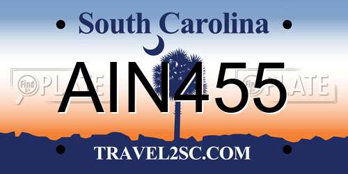 AIN455 South Carolina License Plate