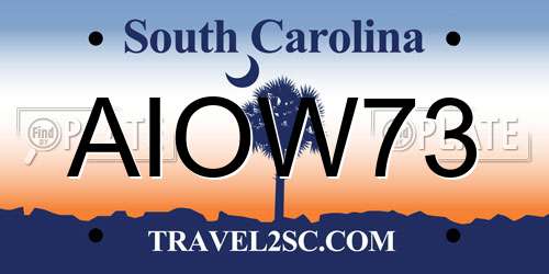 AIOW73 South Carolina License Plate