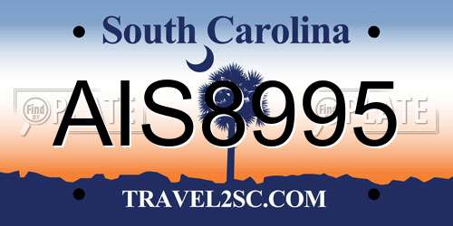 AIS8995 South Carolina License Plate