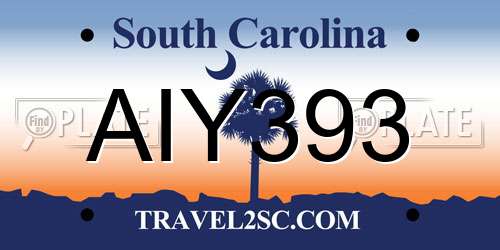 AIY393 South Carolina License Plate