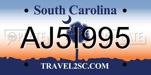 AJ5I995 South Carolina License Plate