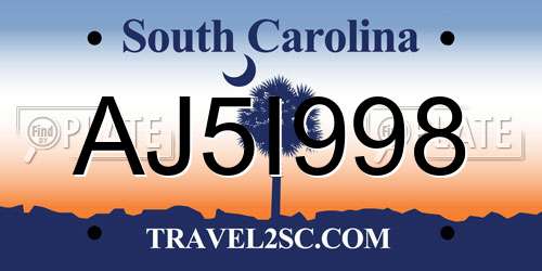 AJ5I998 South Carolina License Plate