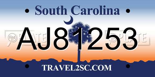 AJ81253 South Carolina License Plate