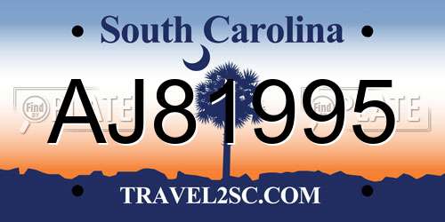 AJ81995 South Carolina License Plate