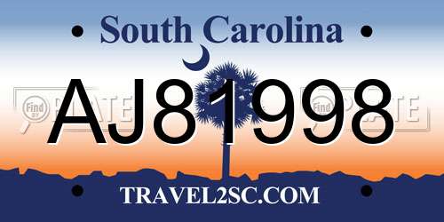 AJ81998 South Carolina License Plate