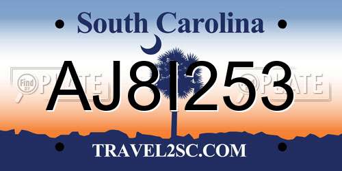 AJ8I253 South Carolina License Plate