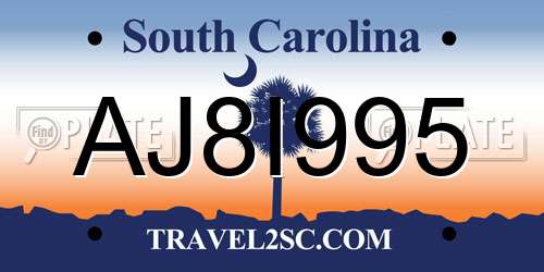 AJ8I995 South Carolina License Plate