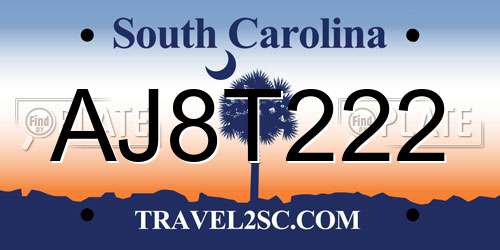 AJ8T222 South Carolina License Plate
