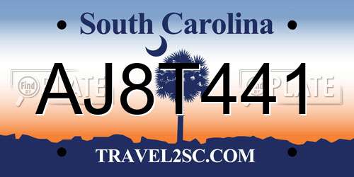 AJ8T441 South Carolina License Plate