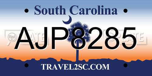 AJP8285 South Carolina License Plate