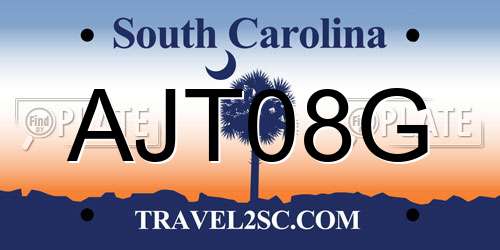 AJT08G South Carolina License Plate