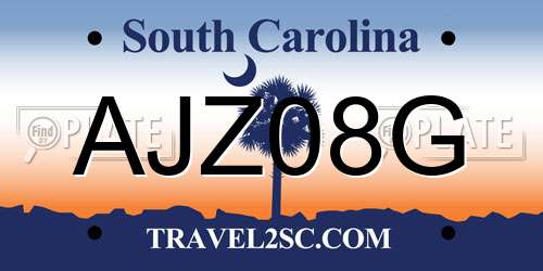 AJZ08G South Carolina License Plate
