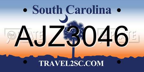 AJZ3046 South Carolina License Plate