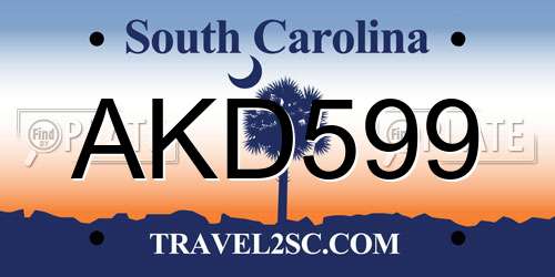 AKD599 South Carolina License Plate