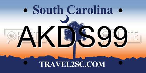 AKDS99 South Carolina License Plate