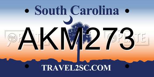 AKM273 South Carolina License Plate