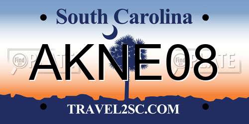 AKNE08 South Carolina License Plate