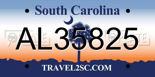 AL35825 South Carolina License Plate