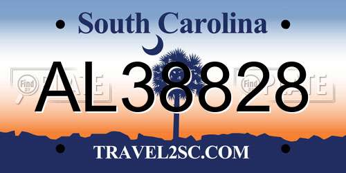 AL38828 South Carolina License Plate
