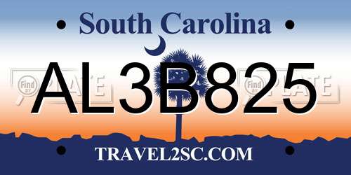 AL3B825 South Carolina License Plate
