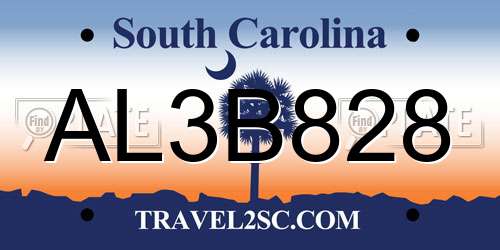 AL3B828 South Carolina License Plate